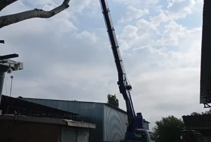 Обрезка деревьев